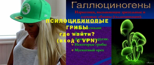 МДПВ Алексин