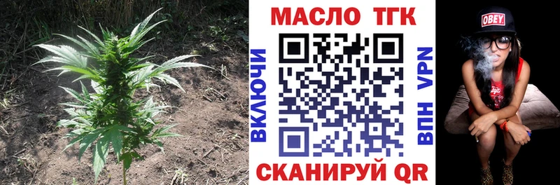 ТГК THC oil  даркнет сайт  OMG ссылки  Анива 